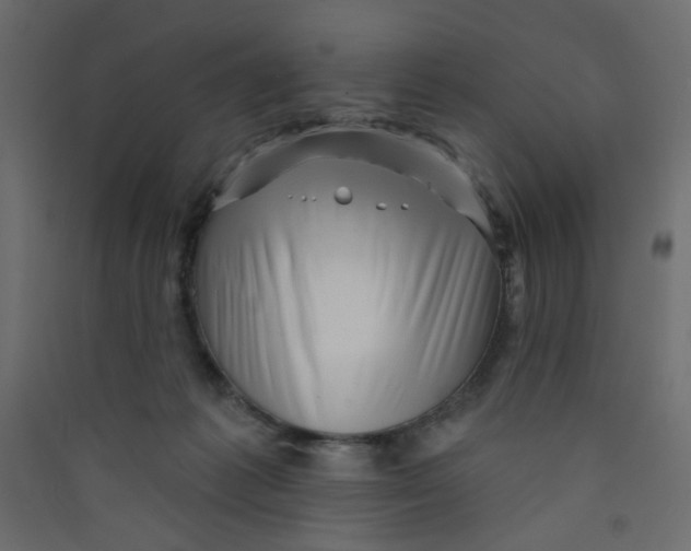 X0000089440221200707131912