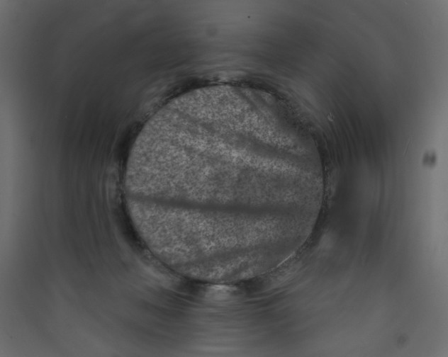 X0000089440222200707131912