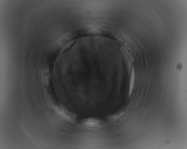 X0000089440223200707131912