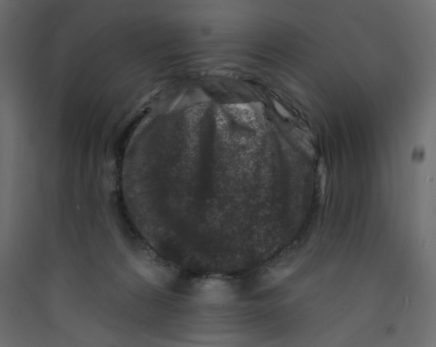 X0000089440224200707131912
