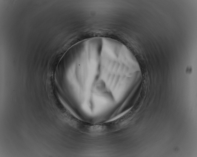 X0000089440225200707131912