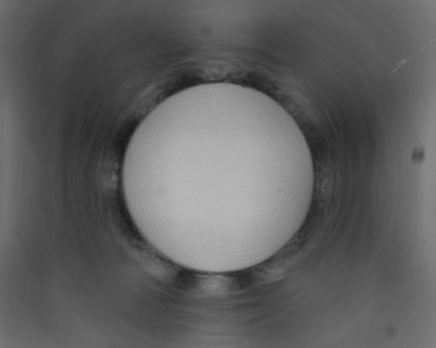 X0000089440226200707131912