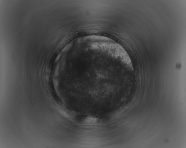 X0000089440227200707131912