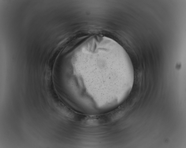 X0000089440228200707131912