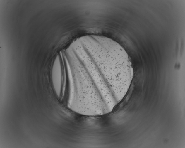 X0000089440229200707131912