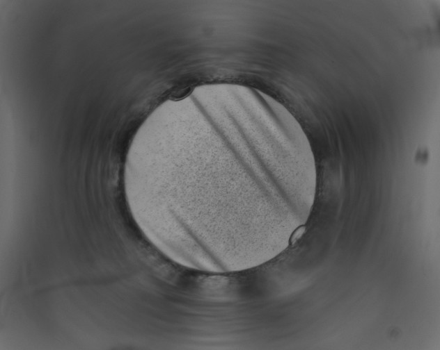 X0000089440230200707131912