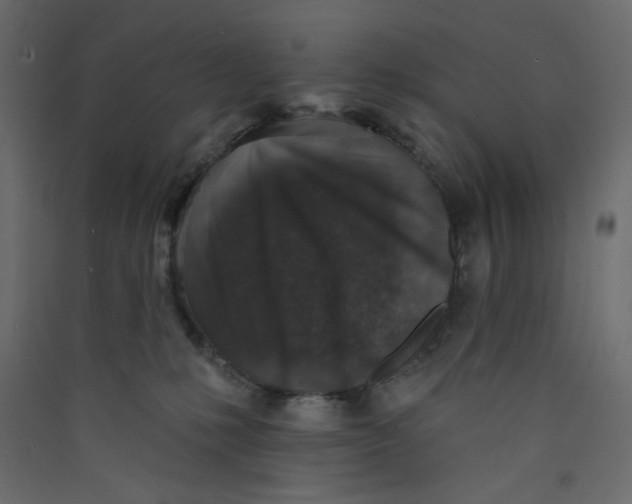X0000089440231200707131912