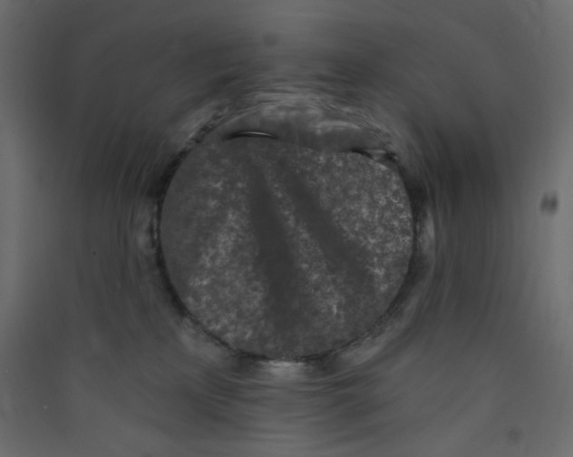 X0000089440233200707131912