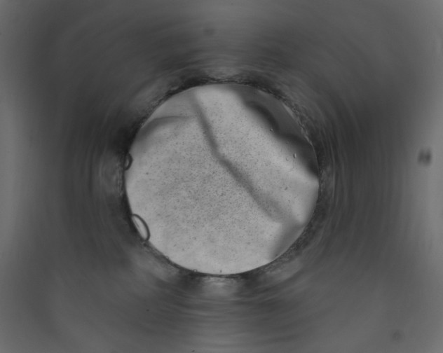 X0000089440234200707131912