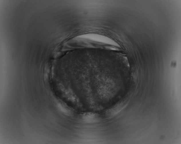 X0000089440235200707131912