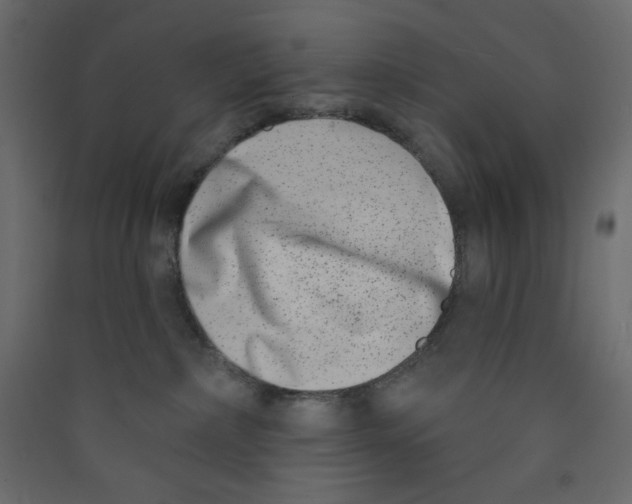 X0000089440236200707131912