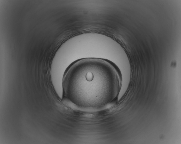X0000089440237200707131912