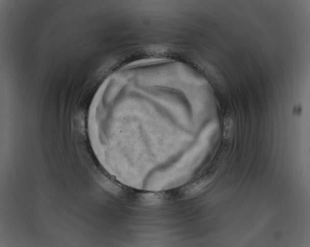 X0000089440238200707131912