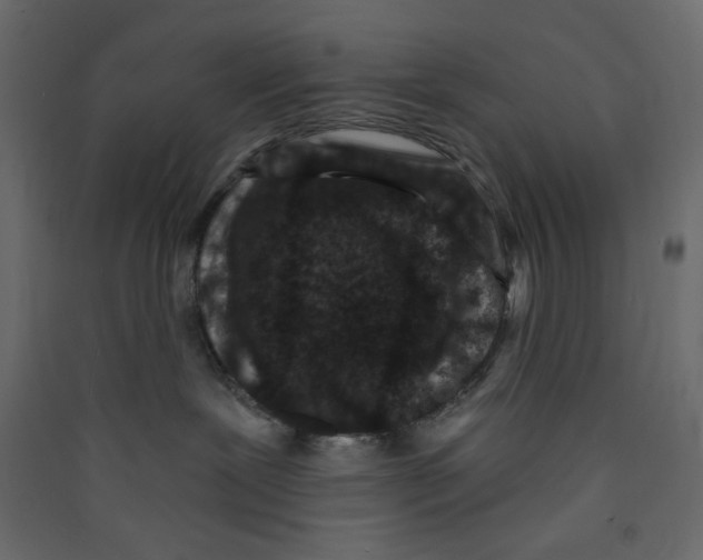 X0000089440239200707131912