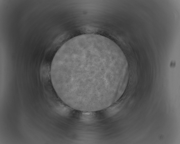 X0000089440240200707131912