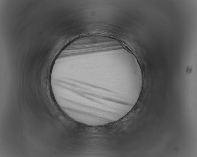 X0000089440241200707131911