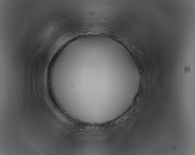 X0000089440242200707131911