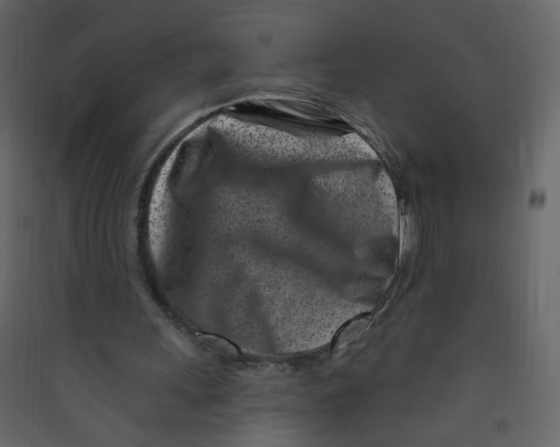 X0000089440243200707131911