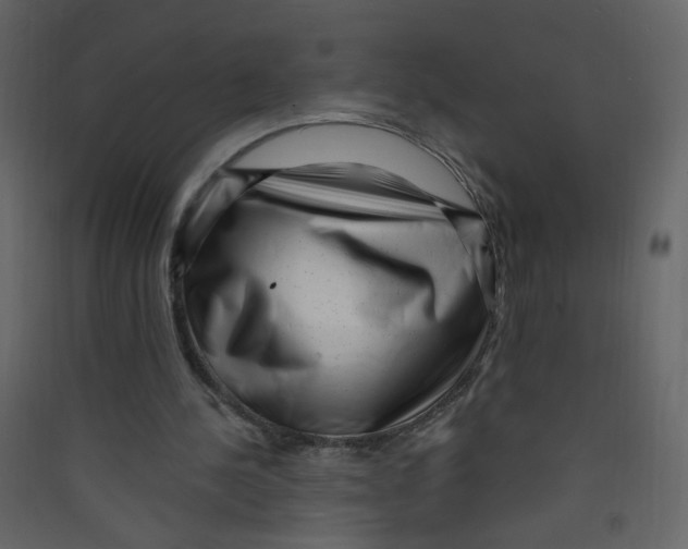 X0000089440244200707131911