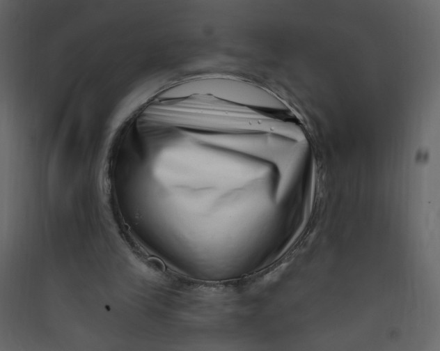 X0000089440245200707131911