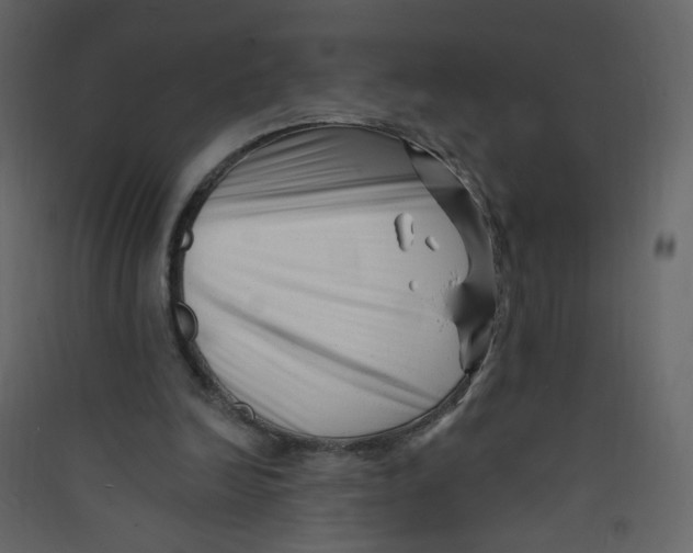 X0000089440246200707131911