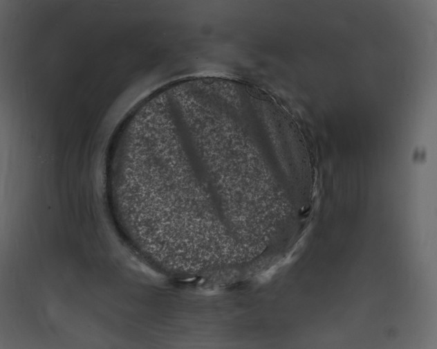 X0000089440247200707131911