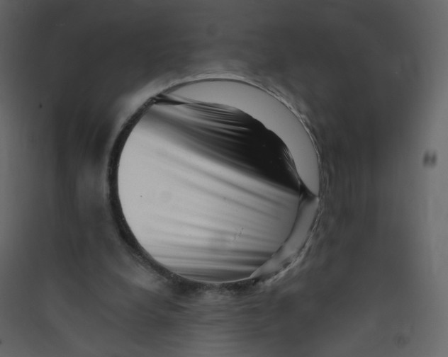 X0000089440248200707131911