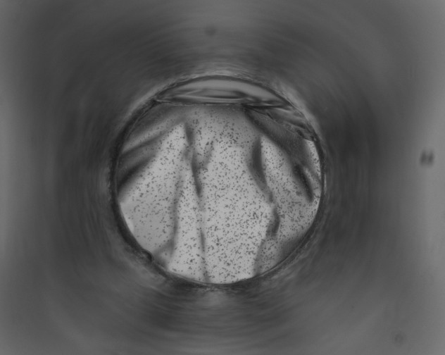 X0000089440249200707131911