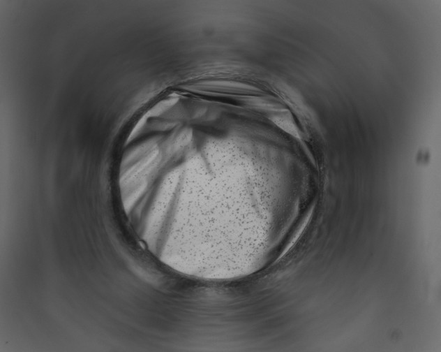 X0000089440250200707131912