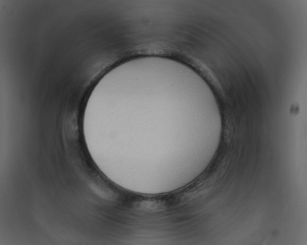 X0000089440251200707131912