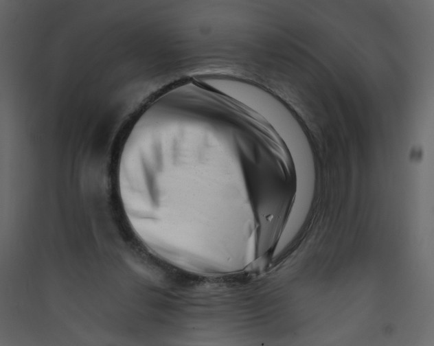 X0000089440252200707131912