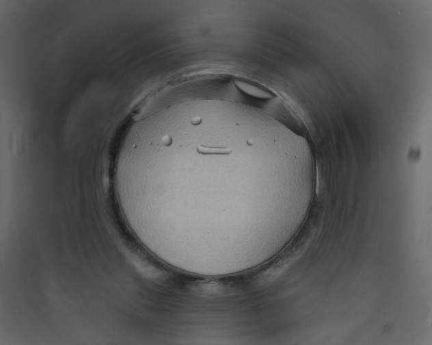 X0000089440253200707131912