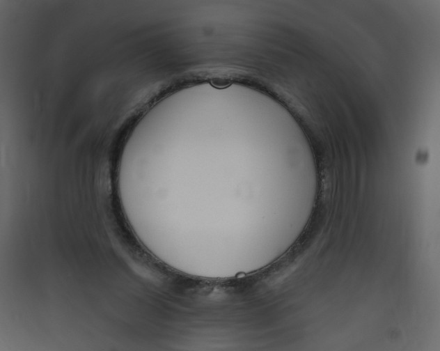X0000089440254200707131912