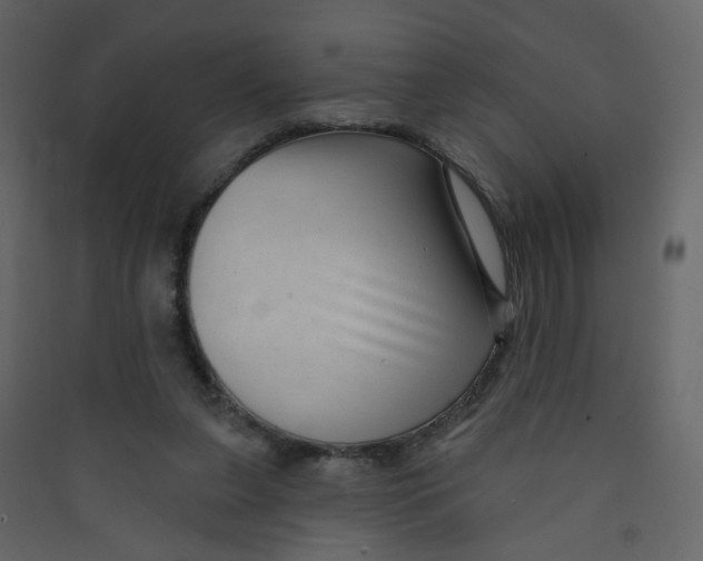 X0000089440255200707131912