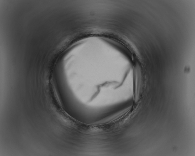 X0000089440257200707131912