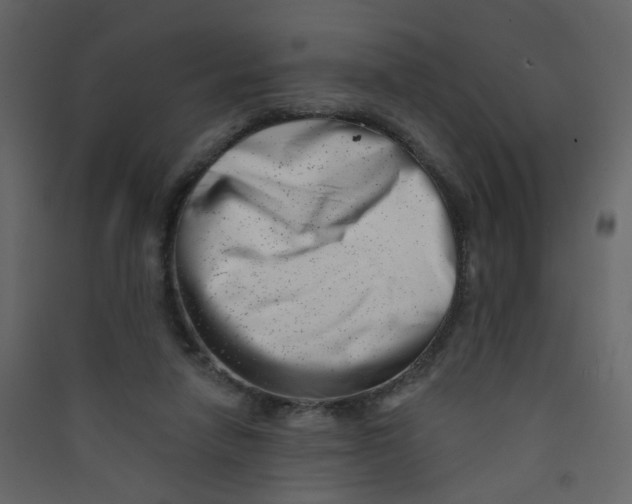 X0000089440258200707131912