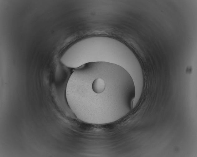 X0000089440260200707131912