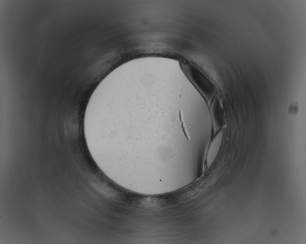 X0000089440261200707131912