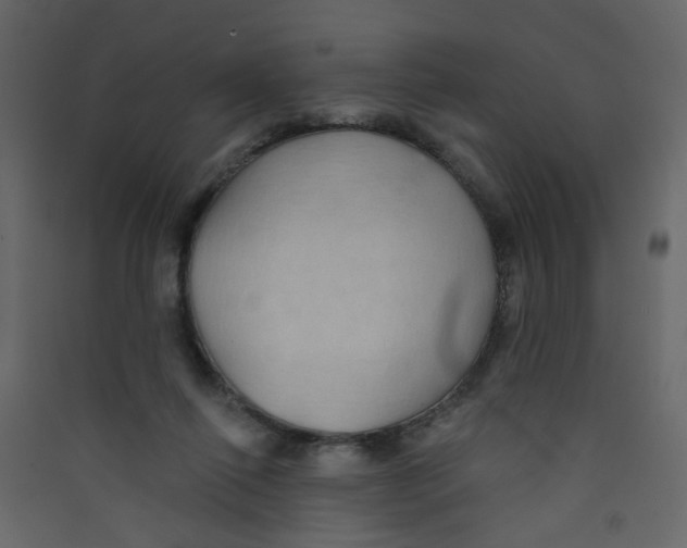 X0000089440262200707131912