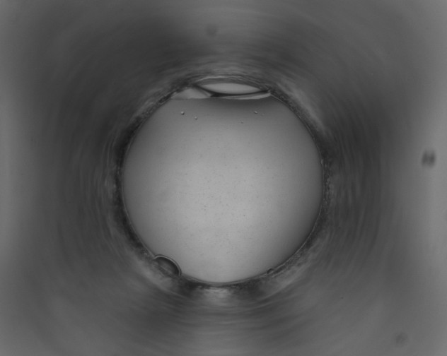X0000089440265200707131912