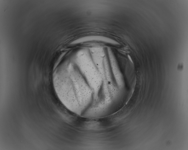 X0000089440266200707131912