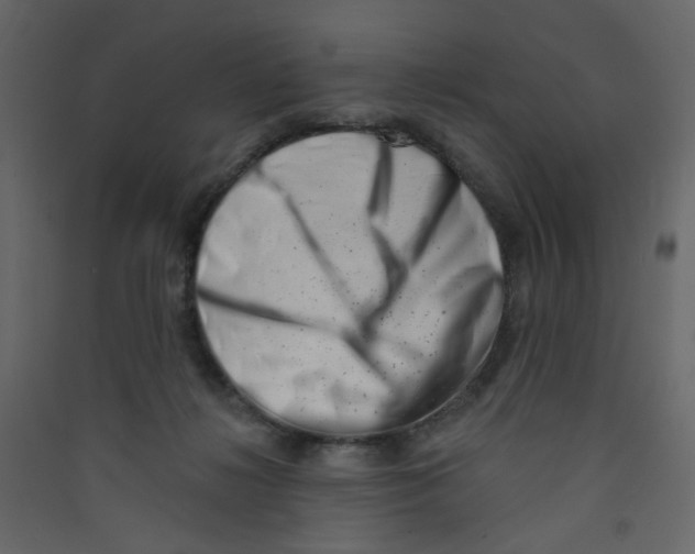 X0000089440268200707131912