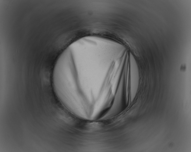 X0000089440269200707131912