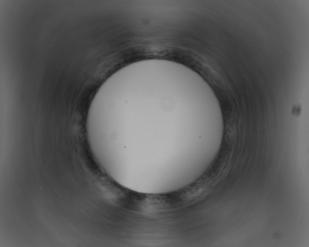 X0000089440270200707131912