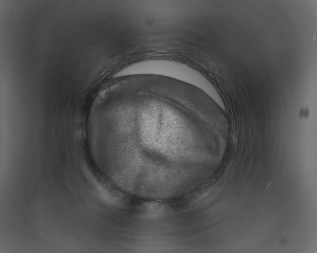 X0000089440272200707131912