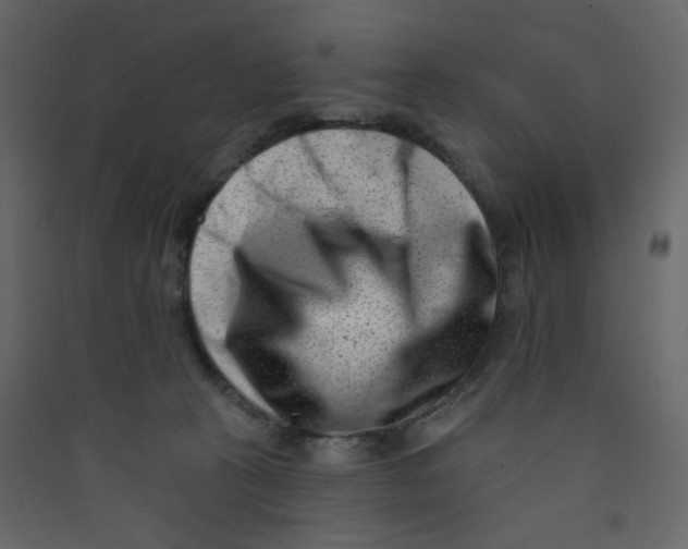X0000089440273200707131912