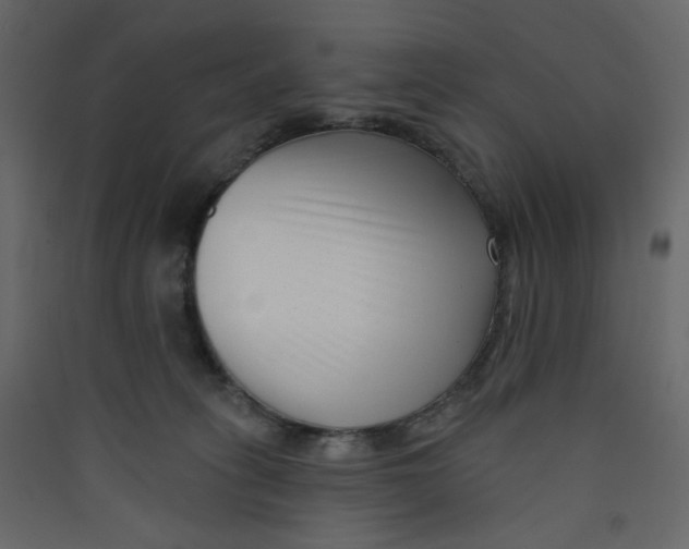 X0000089440275200707131912