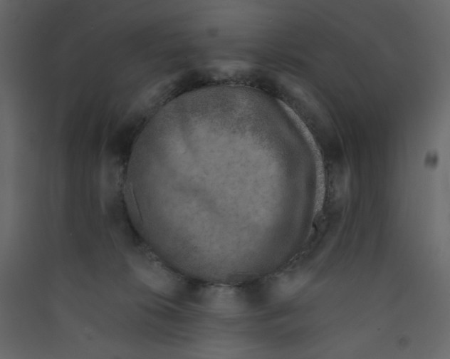 X0000089440276200707131912
