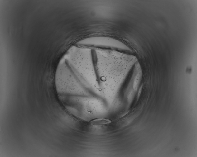 X0000089440277200707131912