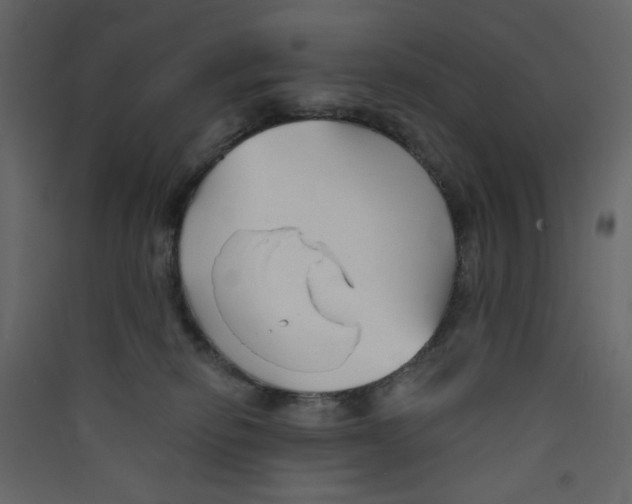 X0000089440278200707131912